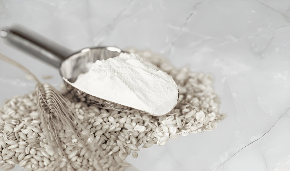 Feed Industry (Animal Feed)